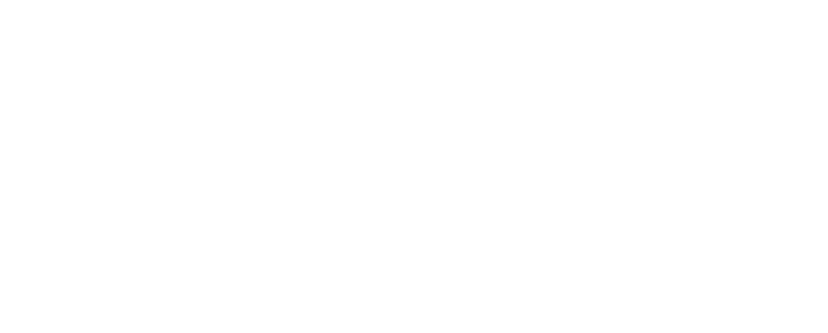 Logo TM Viana